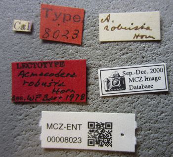 Media type: image;   Entomology 8023 Aspect: labels